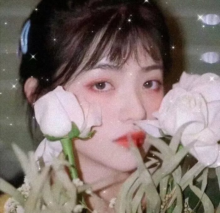 灌篮高手